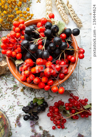 black and red rowan, viburnum berries at white background. close up. top view black and red rowan, viburnum berries at white background. close up. top view 136444624