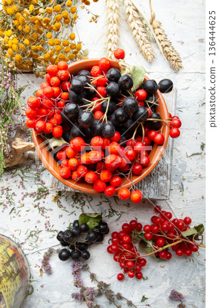 black and red  rowan, viburnum berries  at  white background. close up. top view 136444625