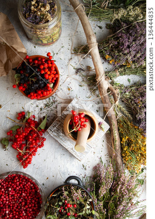 forest heather and wild medicine herbs and cowberry, rowan berries at white background. top view forest heather and wild medicine herbs and cowberry, rowan berries at white background. top view 136444835