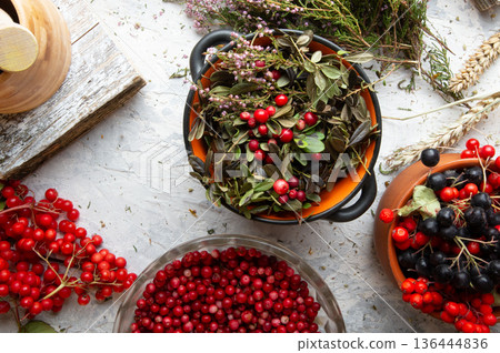 forest ripe cowberry berries and leaves, heather , rowan berries black and red at  white background. top view 136444836
