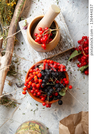 ripe viburnum and red and black rowans at white background. top view ripe viburnum and red and black rowans at white background. top view 136444837