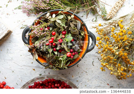 cowberry leaves and berries around dry medicine herbs at white background. top view cowberry leaves and berries around dry medicine herbs at white background. top view 136444838