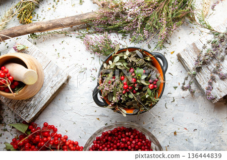 forest heather and cowberry, viburnum  at  white background. top view 136444839