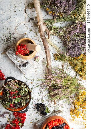 wild dry medicine herbs and cowberry, rowan, viburnum berries at white background. flat lay wild dry medicine herbs and cowberry, rowan, viburnum berries at white background. flat lay 136444840