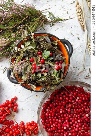 forest heather and cowberry, viburnum berries at white background. top view 136444842