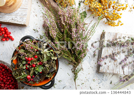 forest heather and cowberry at white background. top view forest heather and cowberry at white background. top view 136444843