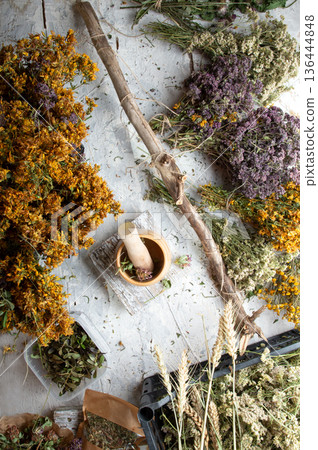 different wild medicinal dry herbs: white yarrow herb blossoming, yellow tansy herb, marjoram, St. John's wort at white background different wild medicinal dry herbs: white yarrow herb blossoming, yellow tansy herb, marjoram, St. John's wort at white background 136444848