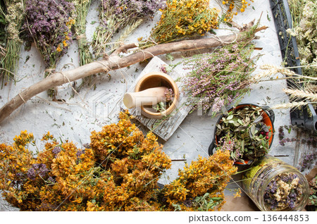 different wild medicinal dry herbs: white yarrow herb blossoming, yellow tansy herb, marjoram, St. John's wort at white background different wild medicinal dry herbs: white yarrow herb blossoming, yellow tansy herb, marjoram, St. John's wort at white background 136444853