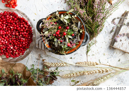 forest heather and cowberry at white background. top view forest heather and cowberry at white background. top view 136444857