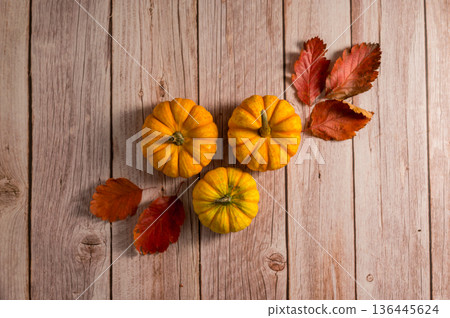 Autumn pumpkins background. Orange and white mini squashes, rustic style. Top view Autumn pumpkins background. Orange and white mini squashes, rustic style. Top view 136445624