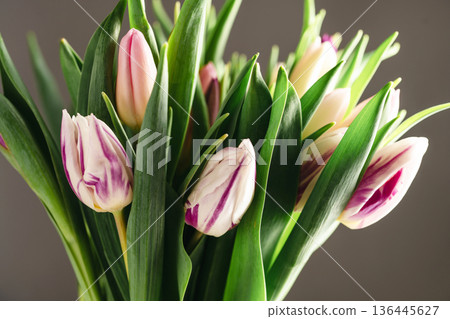 Spring floral background. Fresh tulips flowers bouquet. Dark moody. Mother's day. Macro photography Spring floral background. Fresh tulips flowers bouquet. Dark moody. Mother's day. Macro photography 136445627