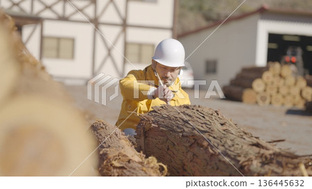 Forestry workers measuring the size of logs: Tama Wood Center Cooperative Association 136445632
