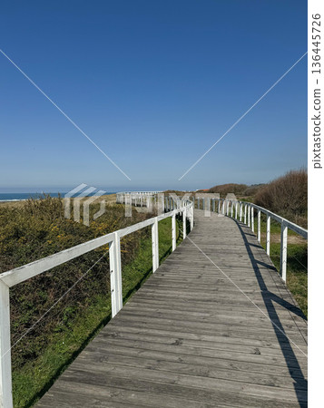 Wooden coastal boardwalk along Camino de Santiago in Portugal with curved pathway leading through dunes toward Atlantic horizon. Travel, outdoor lifestyle, slow travel, destination branding 136445726