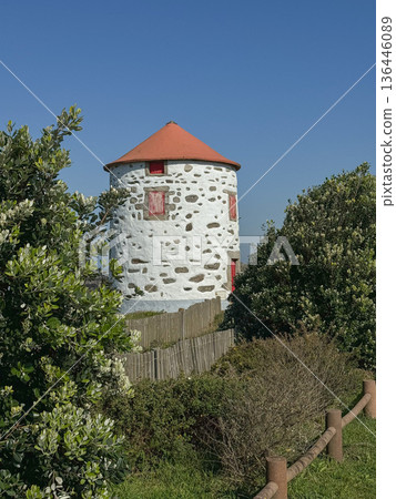 Stone coastal windmill with red roof stands among green vegetation near Atlantic shoreline in Viana de Castelo. Travel, cultural heritage, coastal tourism, Camino de Santiago route communication 136446089