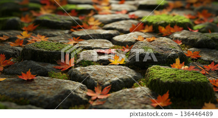Autumn forest stone path background with moss-covered rocks and fallen leaves. 136446489