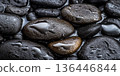 Rain-soaked stone background with wet, glistening black river rocks, reflecting ambient light. 136446844