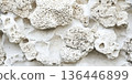 Ocean coral stone background with textured porous formations, bleached white by saltwater. 136446899