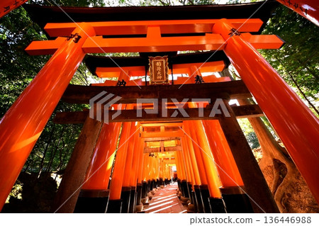 Kyoto Prefecture, Fushimi Inari Taisha Shrine, Senbon Torii (near the entrance), Fukakusa Yabunouchicho, Fushimi Ward, Kyoto City Kyoto Prefecture, Fushimi Inari Taisha Shrine, Senbon Torii (near the entrance), Fukakusa Yabunouchicho, Fushimi Ward, Kyoto City 136446988