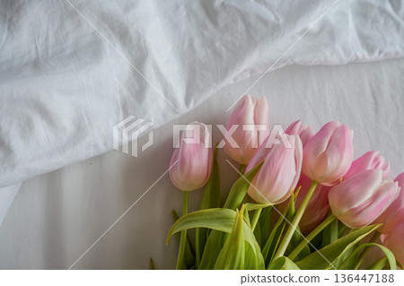 Pink Tulip Bouquet Horizontal View Pink Tulip Bouquet Horizontal View 136447188