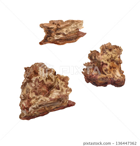 Set of whole grain, rustic, freshly baked breads with slices. Watercolor illustrations of bread in warm neutral tones for food blogs, bakery websites, and farm-to-table interior design. Set of whole grain, rustic, freshly baked breads with slices. Watercolor illustrations of bread in warm neutral tones for food blogs, bakery websites, and farm-to-table interior design. 136447362