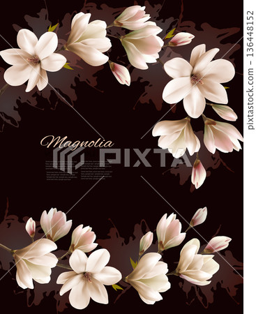 Abstract spring background with beautiful magnolia branches. Vector. Abstract spring background with beautiful magnolia branches. Vector. 136448152