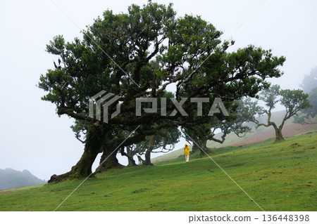 Individual capturing scene in bright rain gear amidst foggy scenery 136448398