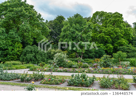 The Botanical Garden of Augsburg in Germany with garden pathes and topiary boxwood bushes on green meadows 136448574
