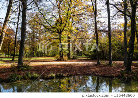 Golden autumn view in famous Munich relax place - Englischer Garten. Munich, Bavaria, Germany 136448600
