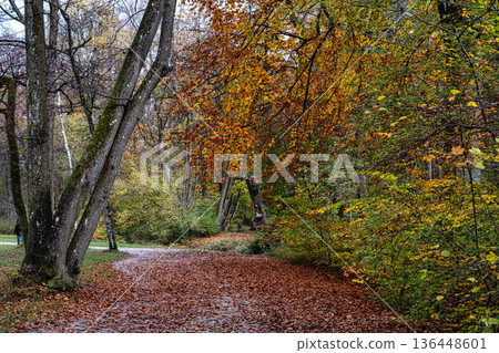 Golden autumn view in famous Munich relax place - Englischer Garten. Munich, Bavaria, Germany Golden autumn view in famous Munich relax place - Englischer Garten. Munich, Bavaria, Germany 136448601