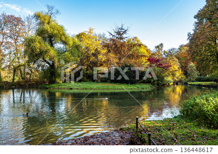 Golden autumn view in famous Munich relax place - Englischer Garten. Munich, Bavaria, Germany Golden autumn view in famous Munich relax place - Englischer Garten. Munich, Bavaria, Germany 136448617