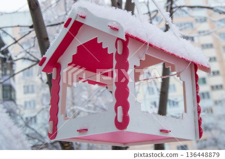Red bird feeder hanging on a tree covered with snow in the city in winter Red bird feeder hanging on a tree covered with snow in the city in winter 136448879