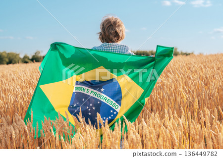 Brazilian Little Kid - Football Fan, Child Patriot With National Flag On Sky Brazilian Little Kid - Football Fan, Child Patriot With National Flag On Sky 136449782