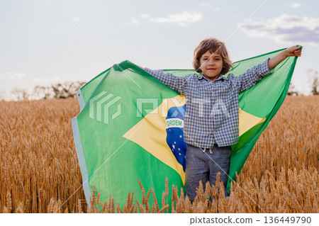 Brazilian Little Kid - Football Fan, Child Patriot With National Flag On Sky  136449790