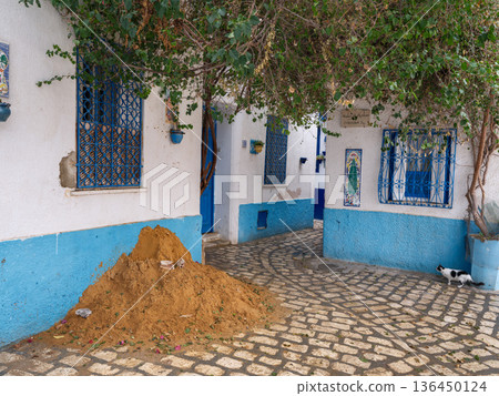 The Silent Alleys of Bizerte: A Winter Journey Through the Medina of Bizerte 136450124