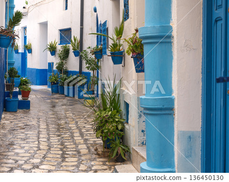 The Silent Alleys of Bizerte: A Winter Journey Through the Medina of Bizerte 136450130