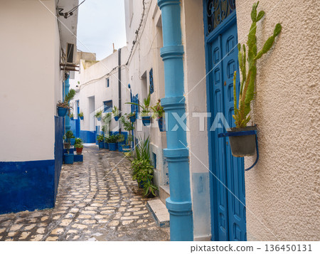 The Silent Alleys of Bizerte: A Winter Journey Through the Medina of Bizerte 136450131