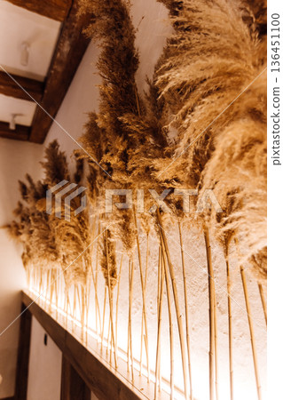 Backlit pampas grass wall decor in warm minimalist interior 136451100