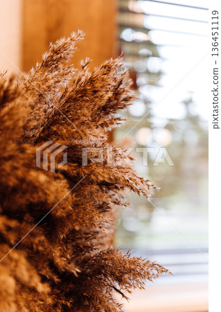 Backlit pampas grass wall decor in warm minimalist boho interior 136451119