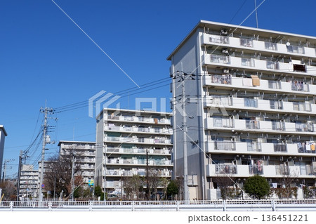 Suburban Complex 136451221
