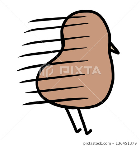 Lazy Kiwi Bird Lazy Kiwi Bird 136451379