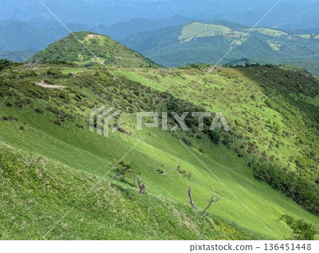 霧降高原上通往赤凪山的山脊線 136451448