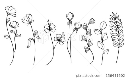 Plants Line Art Botanical Set with Whimsical Hand Drawn Flowers.Vector Illustration 136451602