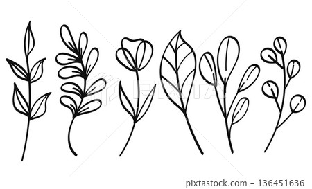Botanical Line Art Hand Drawn Bundle Nature Elements.Vector Illustration 136451636