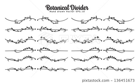 Vine botanical line divider hand drawn for text layout separator decoration Vine botanical line divider hand drawn for text layout separator decoration 136451673