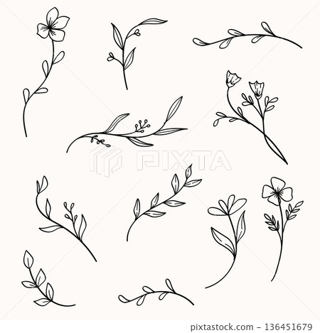 Botanical Leaves and Flower Line art Drawing Vector Set Botanical Leaves and Flower Line art Drawing Vector Set 136451679