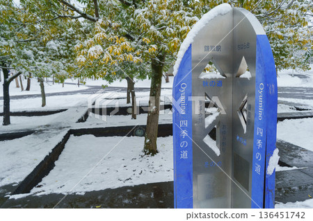 [千葉縣千葉市]秋道公園附近的雪天「大湯野四季之道」（冬季道路和秋季道路的交叉點） 136451742