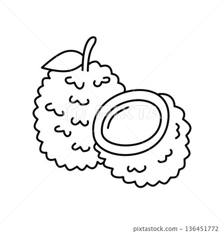lychee outline illustration for coloring lychee outline illustration for coloring 136451772