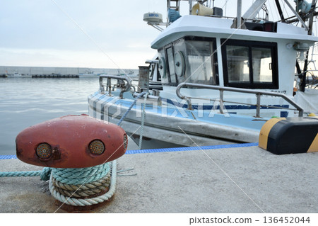 繫泊樁及繫泊裝置 136452044