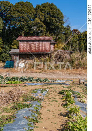 廢棄的房屋和田地 廢棄的房屋和田地 136452635