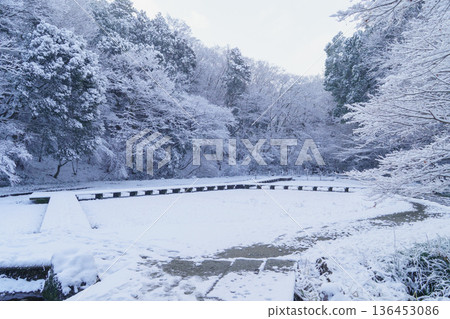 【千葉縣千葉市】泉宮公園:白雪覆蓋的鳶尾花田 【千葉縣千葉市】泉宮公園:白雪覆蓋的鳶尾花田 136453086